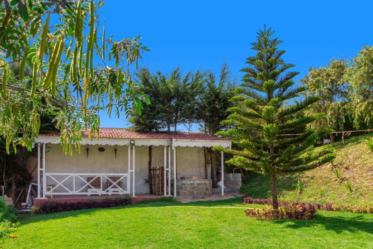 Pine View Stay Ooty Buitenkant foto